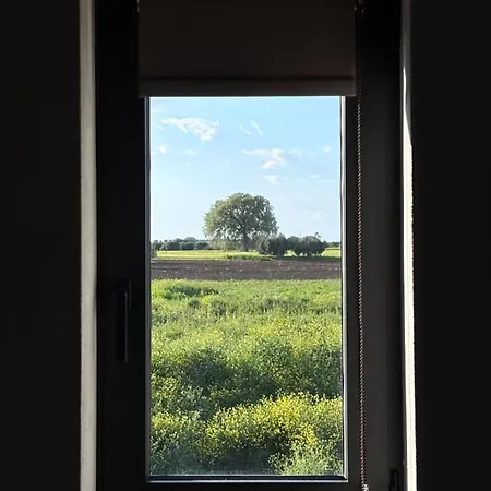 Vila Zosana *